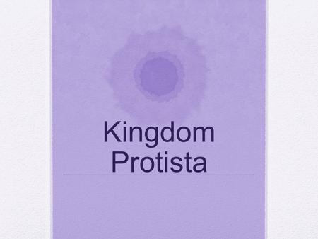 Kingdom Protista.