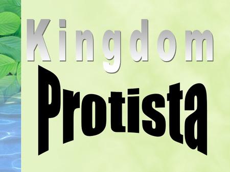 What are protists? Very diverse group of organisms containing over 200,000 species NOT members of the kingdoms plantae, animalia, fungi or bacteria Eukaryotes.