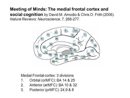 Meeting of Minds: The medial frontal cortex and social cognition by David M. Amodio & Chris D. Frith (2006). Nature Reviews: Neuroscience, 7, 268-277.