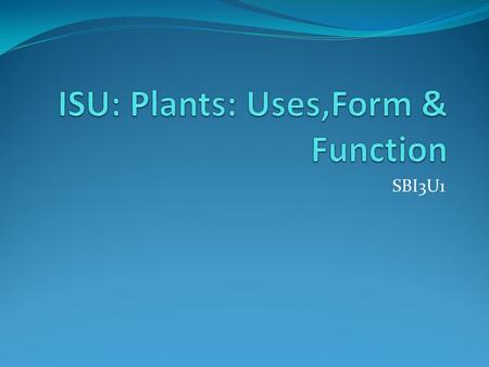 SBI3U1. BRAINSTORM ACTIVITY… What do we depend on plants for? STOP! THINK! PAIR! SHARE! With your partner, brainstorm 5 significant uses of plants.