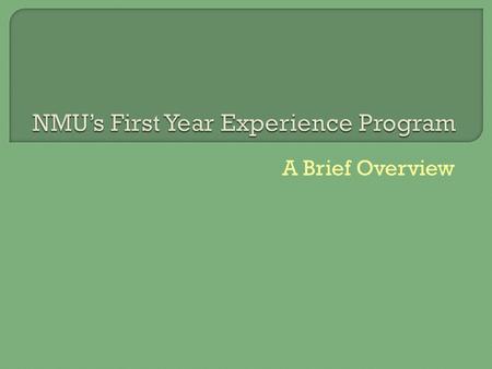 A Brief Overview.  “FYE” stands for First Year Experience  FYE helps incoming freshman adjust to college life. They choose a “block” of courses to share.