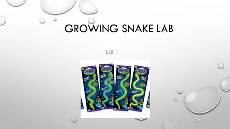 Growing Snake Lab Lab 1.