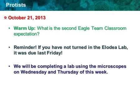 Protists October 21, 2013 Warm Up: What is the second Eagle Team Classroom expectation?Warm Up: What is the second Eagle Team Classroom expectation? Reminder!