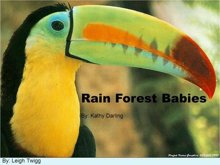 By: Leigh Twigg Rain Forest Babies By: Kathy Darling.