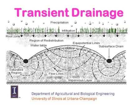 Transient Drainage Department of Agricultural and Biological Engineering University of Illinois at Urbana-Champaign.