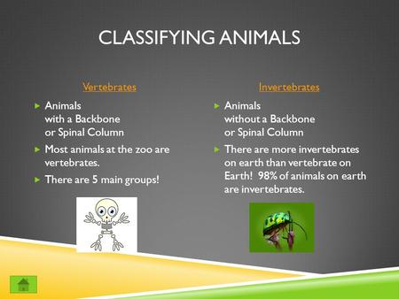 CLASSIFYING ANIMALS VertebratesInvertebrates  Animals with a Backbone or Spinal Column  Most animals at the zoo are vertebrates.  There are 5 main.