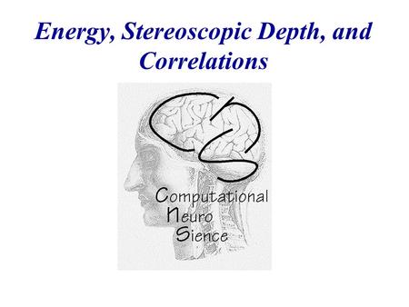 Energy, Stereoscopic Depth, and Correlations. Molecules Levels of Information Processing in the Nervous System 0.01  m Synapses 1m1m Neurons 100 