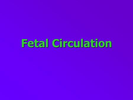 Fetal Circulation.