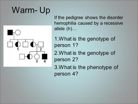 Warm- Up If the pedigree shows the disorder hemophilia caused by a recessive allele (h)… 1.What is the genotype of person 1? 2.What is the genotype of.