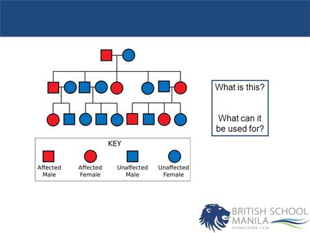 What is this? What can it be used for?. Objectives Explore the inheritance of genetic disease in particular with reference to cystic fibrosis and Huntington’s.