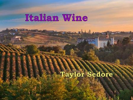 Italian Wine Culture Wine is used on every occasion, including dinner Italian wine is made for savoring, not large consumptions Need a gift? Give a bottle.