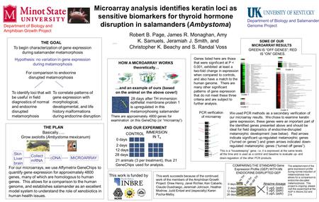 Department of Biology and Salamander Genome Project Department of Biology and Amphibian Growth Project Microarray analysis identifies keratin loci as sensitive.