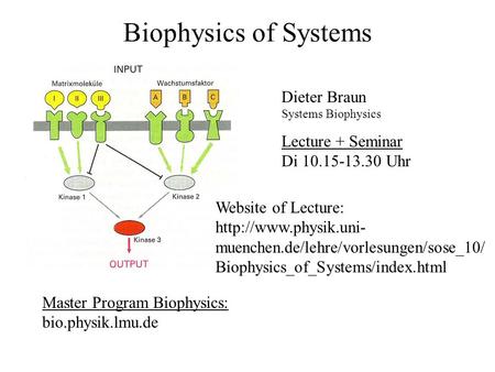 Biophysics of Systems Dieter Braun Lecture + Seminar