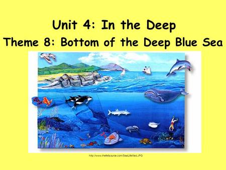 Unit 4: In the Deep Theme 8: Bottom of the Deep Blue Sea