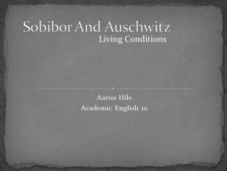 Aaron Hile Academic English 10 Living Conditions.