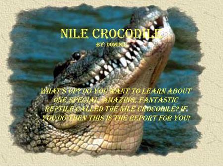 Nile Crocodile by: Dominic What’s up? Do you want to learn about one special, amazing, fantastic reptile called the Nile crocodile? If you do then this.