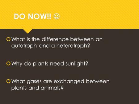 DO NOW!!  What is the difference between an autotroph and a heterotroph?  Why do plants need sunlight?  What gases are exchanged between plants and.