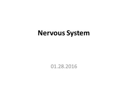 Nervous System 01.28.2016. Terminology: Directional Terms Dorsal—Ventral Dorsal –Toward the back –Away from the stomach Ventral –Toward the stomach.