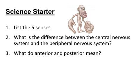 Science Starter List the 5 senses