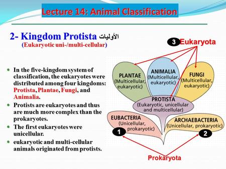 Lecture 14: Animal Classification