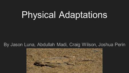 Physical Adaptations By Jason Luna, Abdullah Madi, Craig Wilson, Joshua Perin.