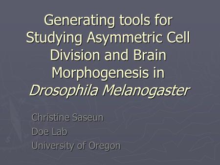 Christine Saseun Doe Lab University of Oregon