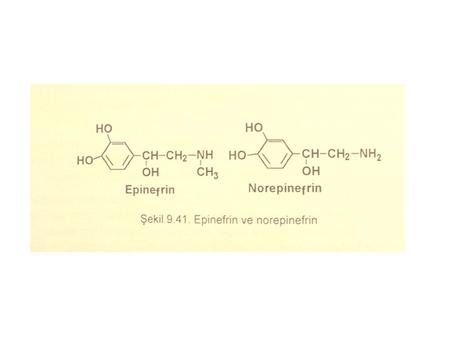 DHBR NADP + NADPH from phe, diet, or protein breakdown Tyrosine L-Dopa H2OH2O O2O2 Tyrosine hydroxylase (rate-determining step) BH 2 BH 4 1 Dopa decarboxylase.