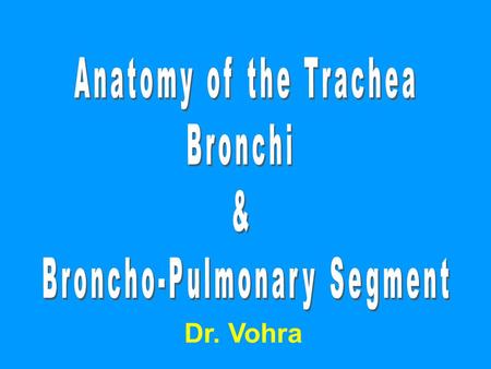 Broncho-Pulmonary Segment