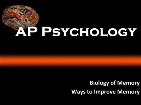 Biology of Memory Ways to Improve Memory