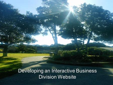 Developing an Interactive Business Division Website.