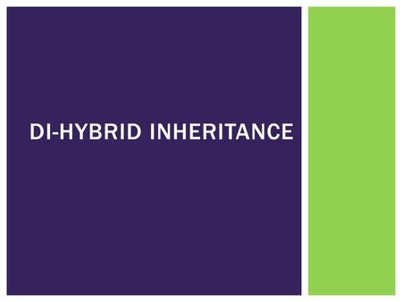 DI-HYBRID INHERITANCE.  **Only complete dominance is assessed at this level** DI-HYBRID INHERITANCE.