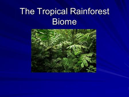 The Tropical Rainforest Biome. Climate The average temperature in a tropical rainforest region would range between 20 and 29 degrees Celsius ( 68 and.