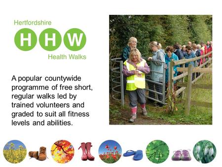 A popular countywide programme of free short, regular walks led by trained volunteers and graded to suit all fitness levels and abilities.