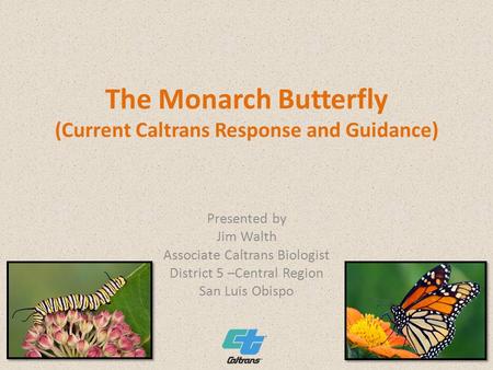 The Monarch Butterfly (Current Caltrans Response and Guidance) Presented by Jim Walth Associate Caltrans Biologist District 5 –Central Region San Luis.