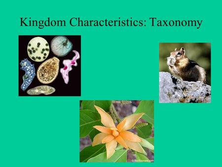 Kingdom Characteristics: Taxonomy