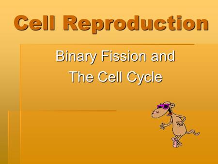 Cell Reproduction Binary Fission and The Cell Cycle.