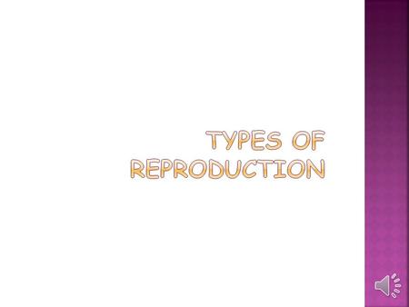  Different life cycles use different modes of reproduction.  Both Binary Fission and Mitosis Produce Genetically Identical Cells.  Prokaryotes divide.