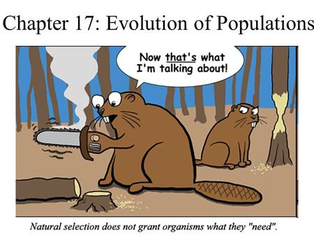 Chapter 17: Evolution of Populations