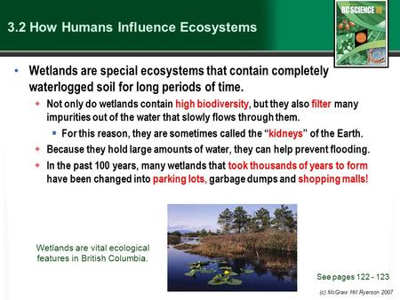 (c) McGraw Hill Ryerson 2007 3.2 How Humans Influence Ecosystems Wetlands are special ecosystems that contain completely waterlogged soil for long periods.