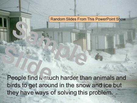 People find it much harder than animals and birds to get around in the snow and ice but they have ways of solving this problem. Sample Slide Random Slides.