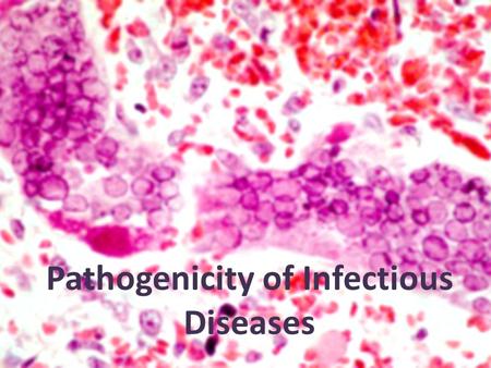 Pathogenicity of Infectious Diseases. PATHOGENENVIRONMENT HOST DISEASE TRIAD Host-Parasite Interactions OTHER MICROBES Microbial Interactions.