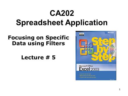 1 CA202 Spreadsheet Application Focusing on Specific Data using Filters Lecture # 5.