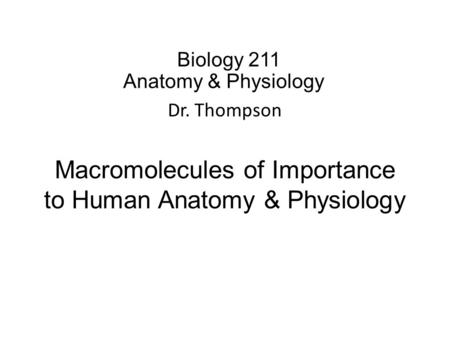 Biology 211 Anatomy & Physiology I Dr. Thompson Macromolecules of Importance to Human Anatomy & Physiology.