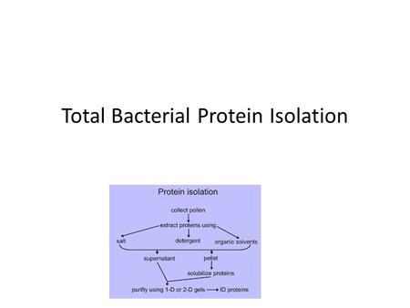 Total Bacterial Protein Isolation