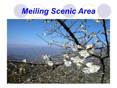 Meiling Scenic Area. Meiling Tourist Map Lieyingjian Sky-Line 889m Sky-Line Entrance Mei Peak Ancient Trail Regular Trail Old-Growth Forest Trail Poinsettia.