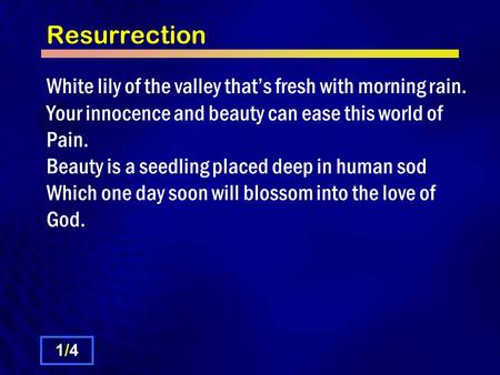 Resurrection White lily of the valley that’s fresh with morning rain. Your innocence and beauty can ease this world of Pain. Beauty is a seedling placed.