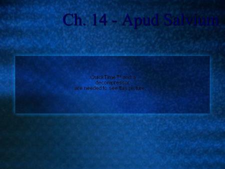 Ch. 14 - Apud Salvium.