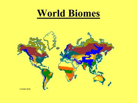 World Biomes.  Tropical Rainforest Location: Found near equator… Abiotic Factors: little variation in.