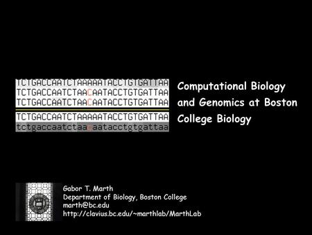 Computational Biology and Genomics at Boston College Biology Gabor T. Marth Department of Biology, Boston College