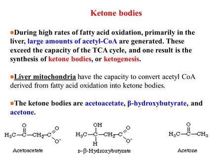 Ketone bodies During high rates of fatty acid oxidation, primarily in the liver, large amounts of acetyl-CoA are generated. These exceed the capacity of.